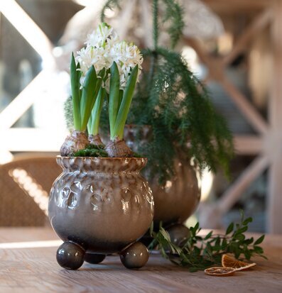 Anya Kruka Brunmelerad Stor Liten Wikholm Form Krukor Örtkrukor Glaskrukor