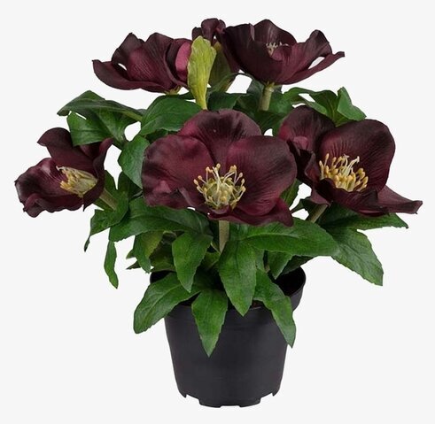 Julros i Kruka Mr Plant Konstväxter Konstblommor Plastväxter Plastblommor