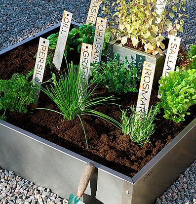 Odlingssticka ERNST från Ernst i en välorganiserad trädgård