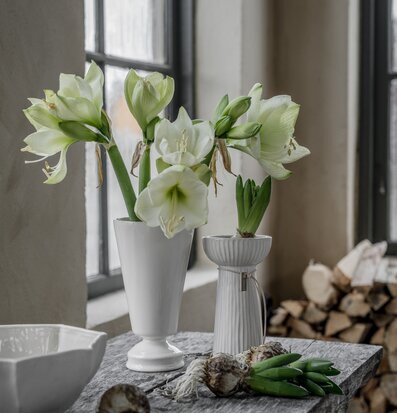 Bild av harmonisk inredning med naturliga detaljer