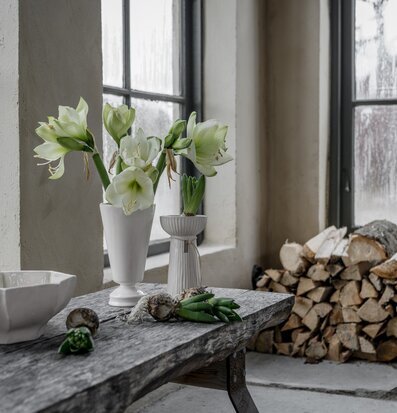 Bild av harmonisk inredning med naturliga detaljer