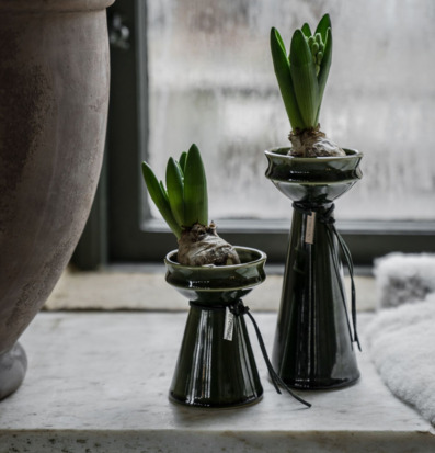 Bild av eleganta gröna vaser och frodiga blomsterlökar