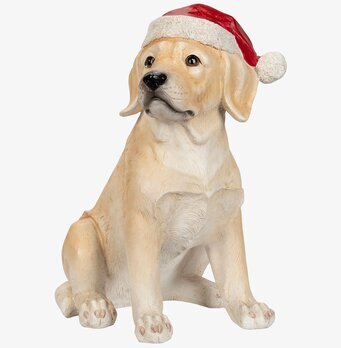 Bild av en labrador med tomteluva för juldekoration