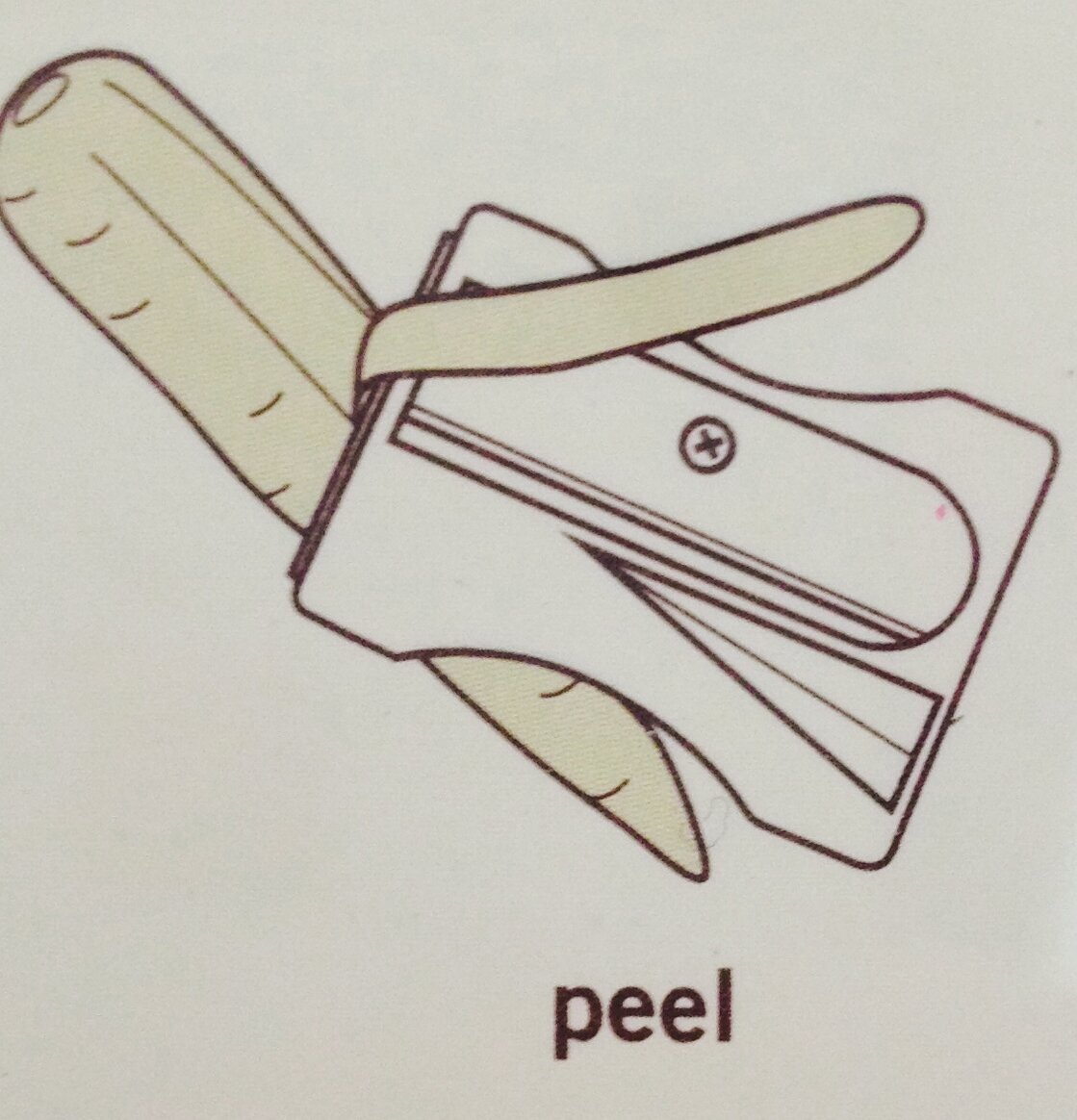 Morotsskalare Karato Röd från Propaganda i användning