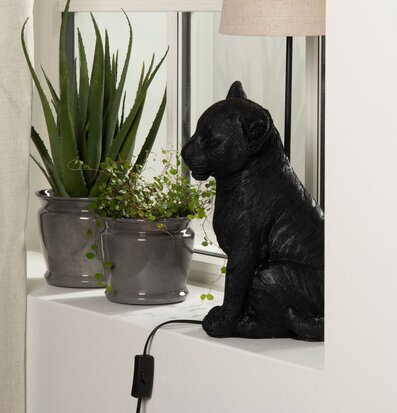 Bild av stilfull fönsterbräda med lejonlampa och växter