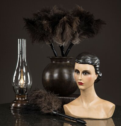 Bild av elegant uppsättning med antik lampa och fjädrar