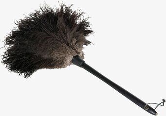 Foto av lyxig dammvippa med svarta strutsfjädrar