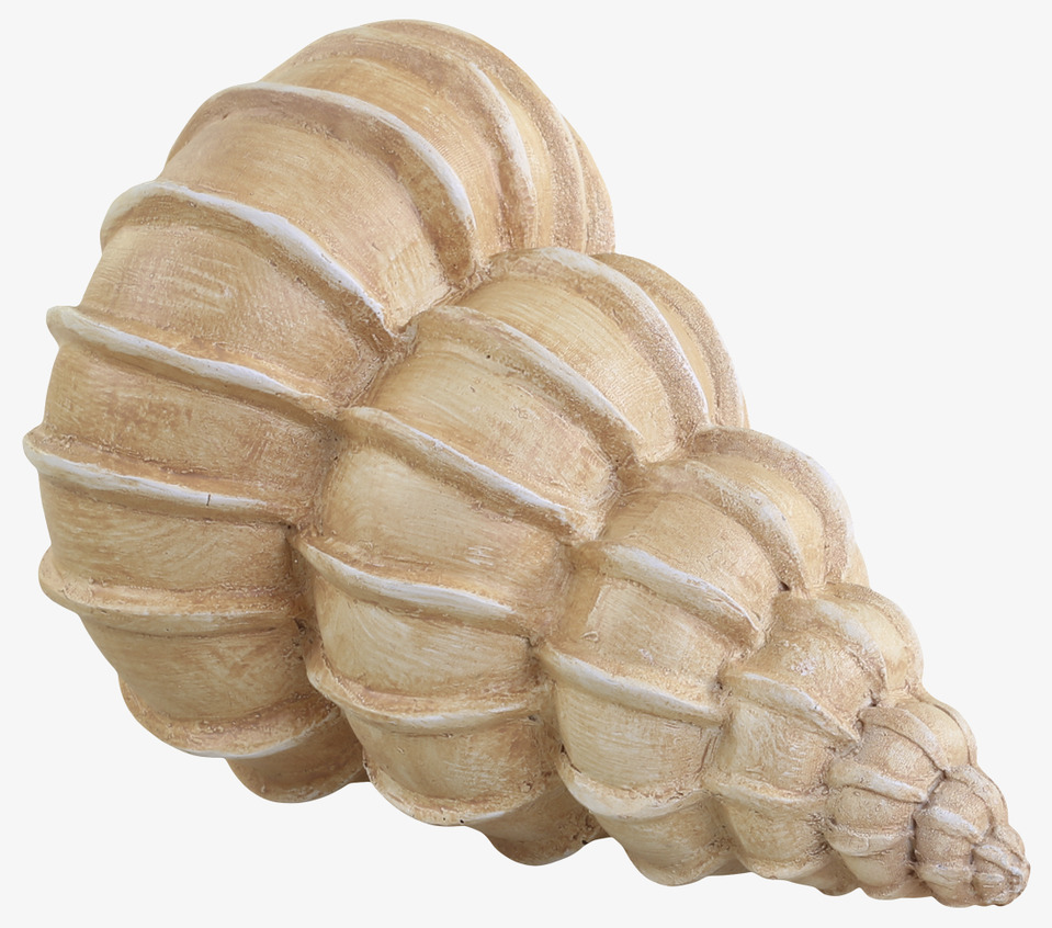 Snäcka Natur Chic Antique Övrig prydnad/dekoration för inredning innemiljö