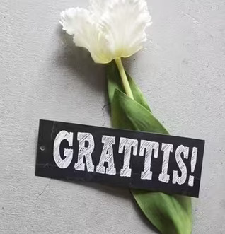 QLKort Qlkort - Grattis med vit tulpan på ljusgrå bakgrund