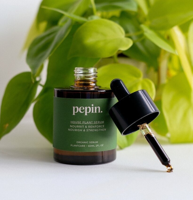 Serum Krukväxter Pepin Övrig prydnad/dekoration för inredning innemiljö