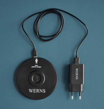 Bild av elegant laddningsstation med modern design