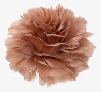 Bild av fjäderblommor med clips för stilfull inredning