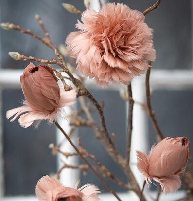 Foto av eleganta fjäderblommor i naturlig mullvadsnyans