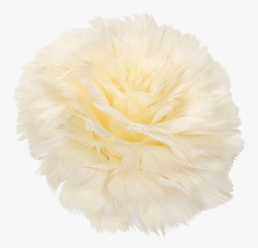 Fjäderblomma Med Clip Vanilj Set/4 A Lot Decoration Övrig prydnad/dekoration för inredning innemiljö