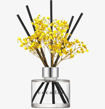 Bild av stilfulla doftpinnar med vanilj och sandelträ