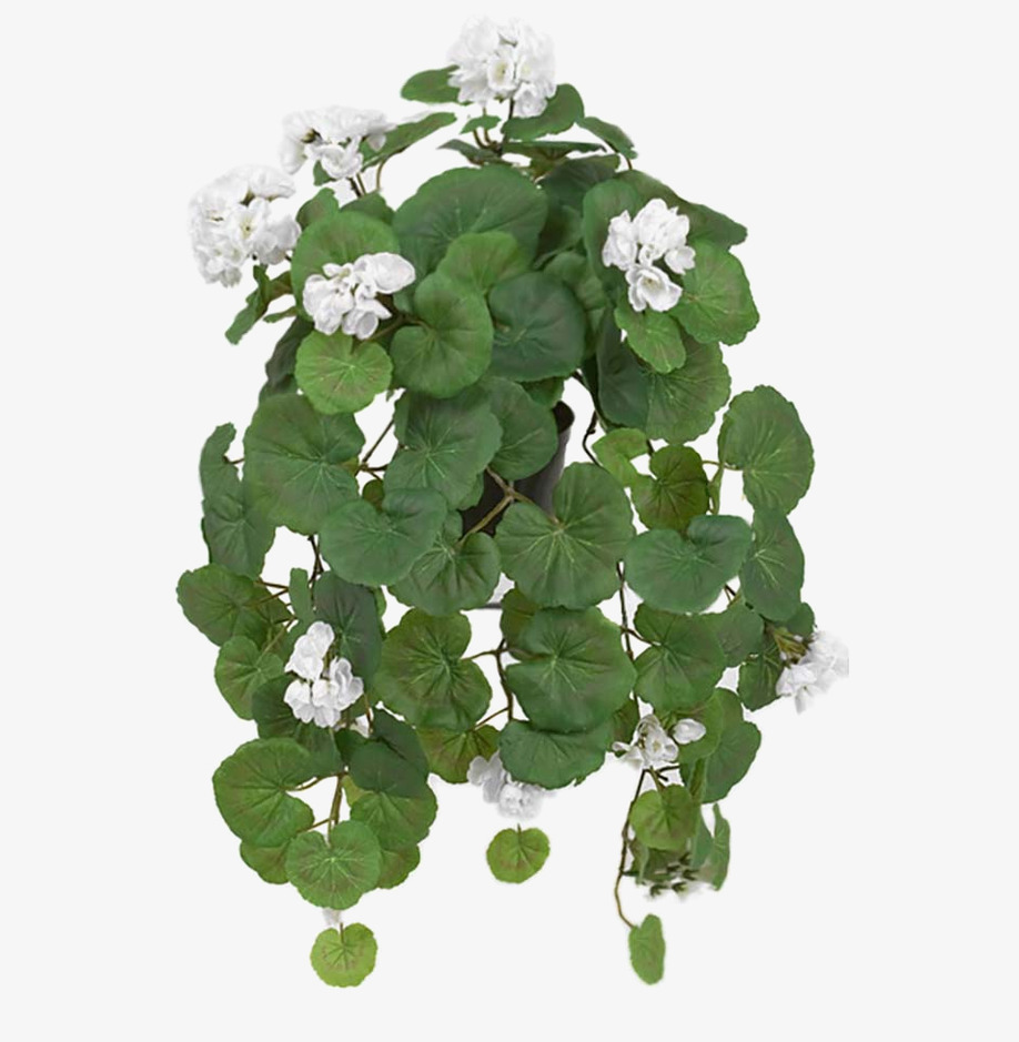 Hängpelargon Vit 50 cm Mr Plant Konstväxter Konstblommor Plastväxter Plastblommor