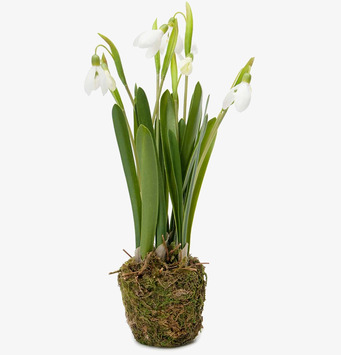 Bild av naturtrogen konstväxt med snödroppe-design
