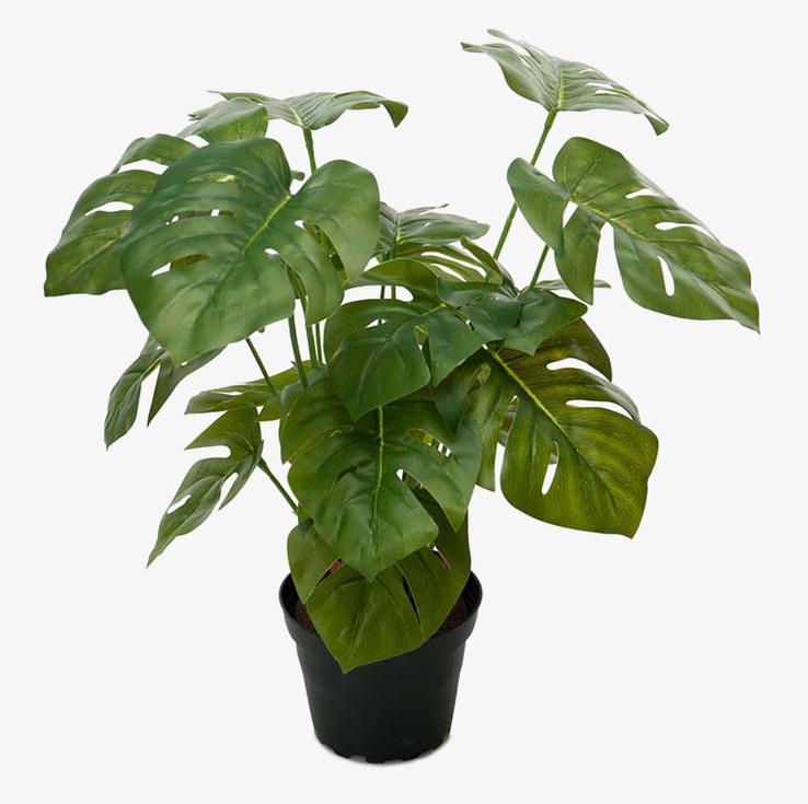 Monstera 30cm Mr Plant Konstväxter Konstblommor Plastväxter Plastblommor