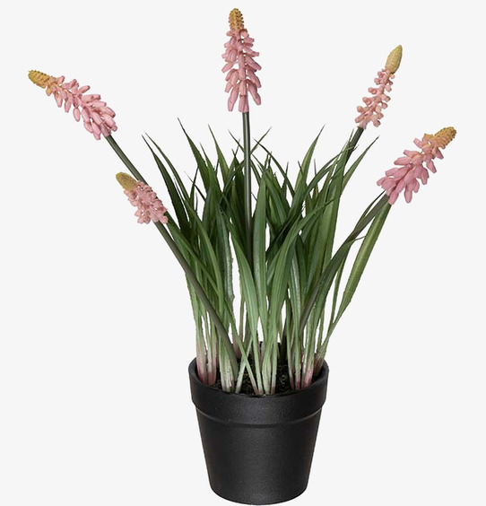 Pärlhyacint Rosa 28cm Mr Plant Konstväxter Konstblommor Plastväxter Plastblommor