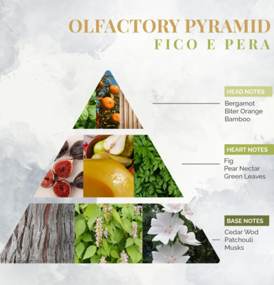 Bild av doftpyramid med fikon, päron och exotiska noter