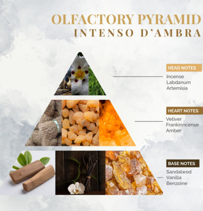 Bild av elegant olfaktorisk pyramid och doftnoter