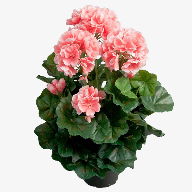 Bild av konstgjord pelargon med livfulla rosa nyanser