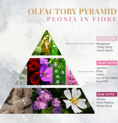 Bild av doftpyramid med topp-, hjärt- och basnoter