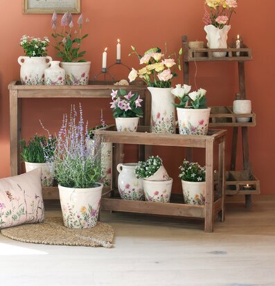 Kanna Avignon Blomster Kruka Chic Antique Vaser Krukor Örtkrukor Glaskrukor