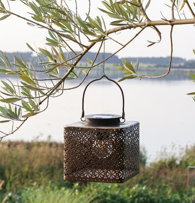 Bild av solcellslanterna i harmonisk naturmiljö