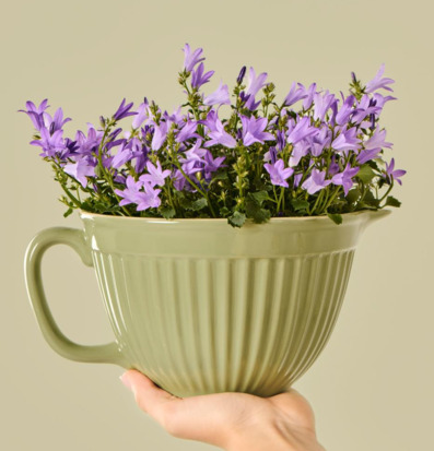 Bild av grön vispskål med lila blommor i harmonisk stil