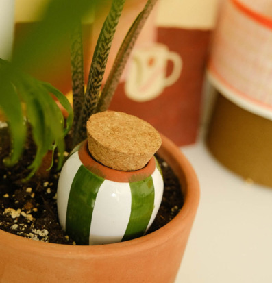 Bild av harmonisk kruka med stilren bevattningslösning