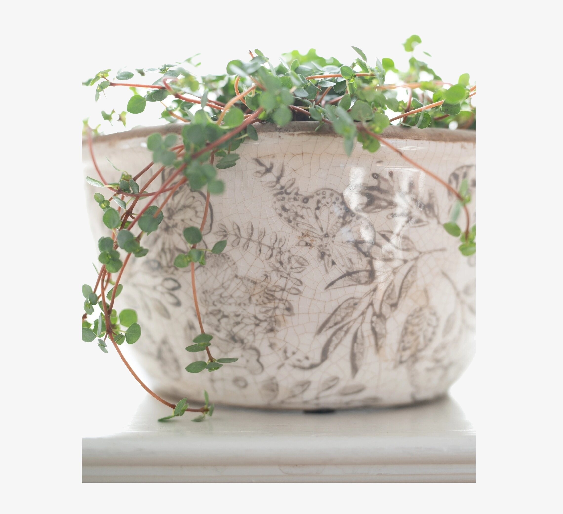 Planteringskruka Melinda Beige/Vit Wikholm Form Krukor Örtkrukor Glaskrukor