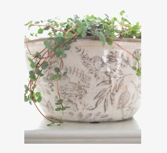 Planteringskruka Melinda Beige/Vit Wikholm Form Krukor Örtkrukor Glaskrukor