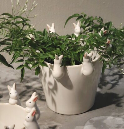 Bild av kreativ kruka med kaniner och frodiga växter