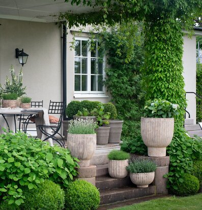 Foto av harmonisk uteplats med grönska och elegans