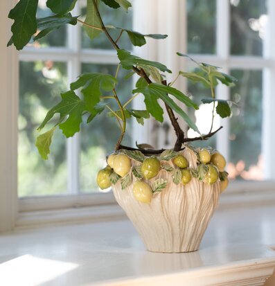 Bild av krukväxt i stilfull kruka med citronmotiv