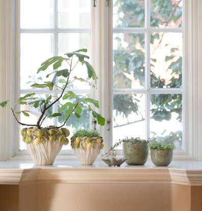Bild av solig fönsterbänk med harmoniska krukarrangemang