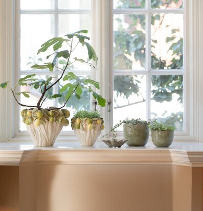 Bild av harmonisk interiör med eleganta krukor och växter