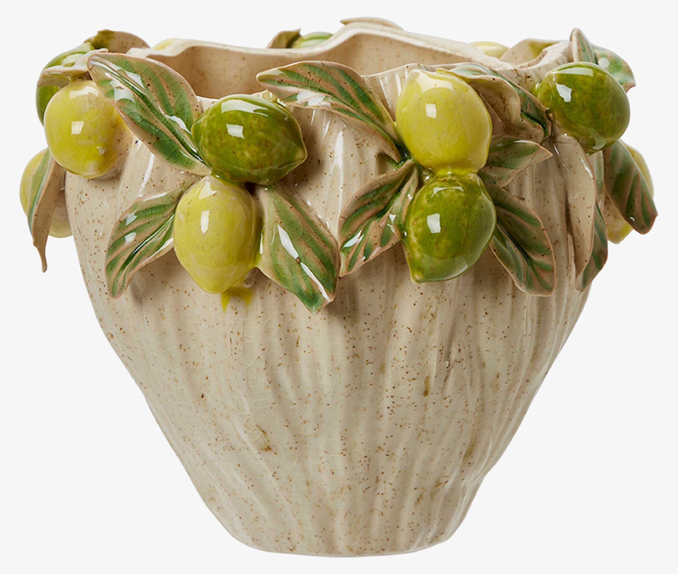 Bild av stilfull kruka med citroner och gröna blad