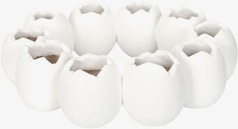 Bild av en elegant äggkrans för heminredning