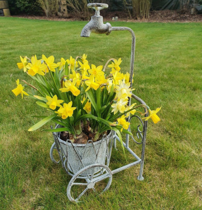 Bild av rustik planteringsvagn med blommor i trädgård