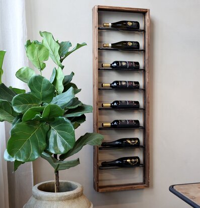 Bild av stilren vinreol och frodig växt i harmoni