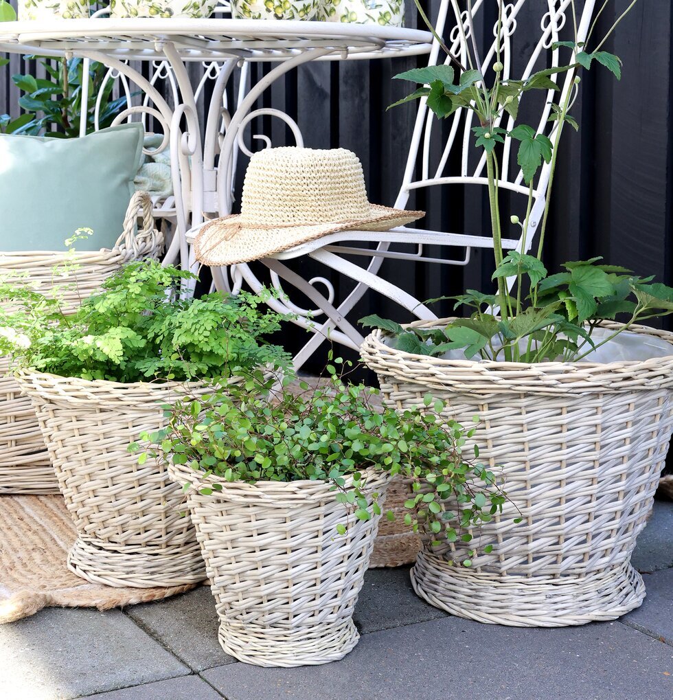 Flätad Pilkruka Chic Antique