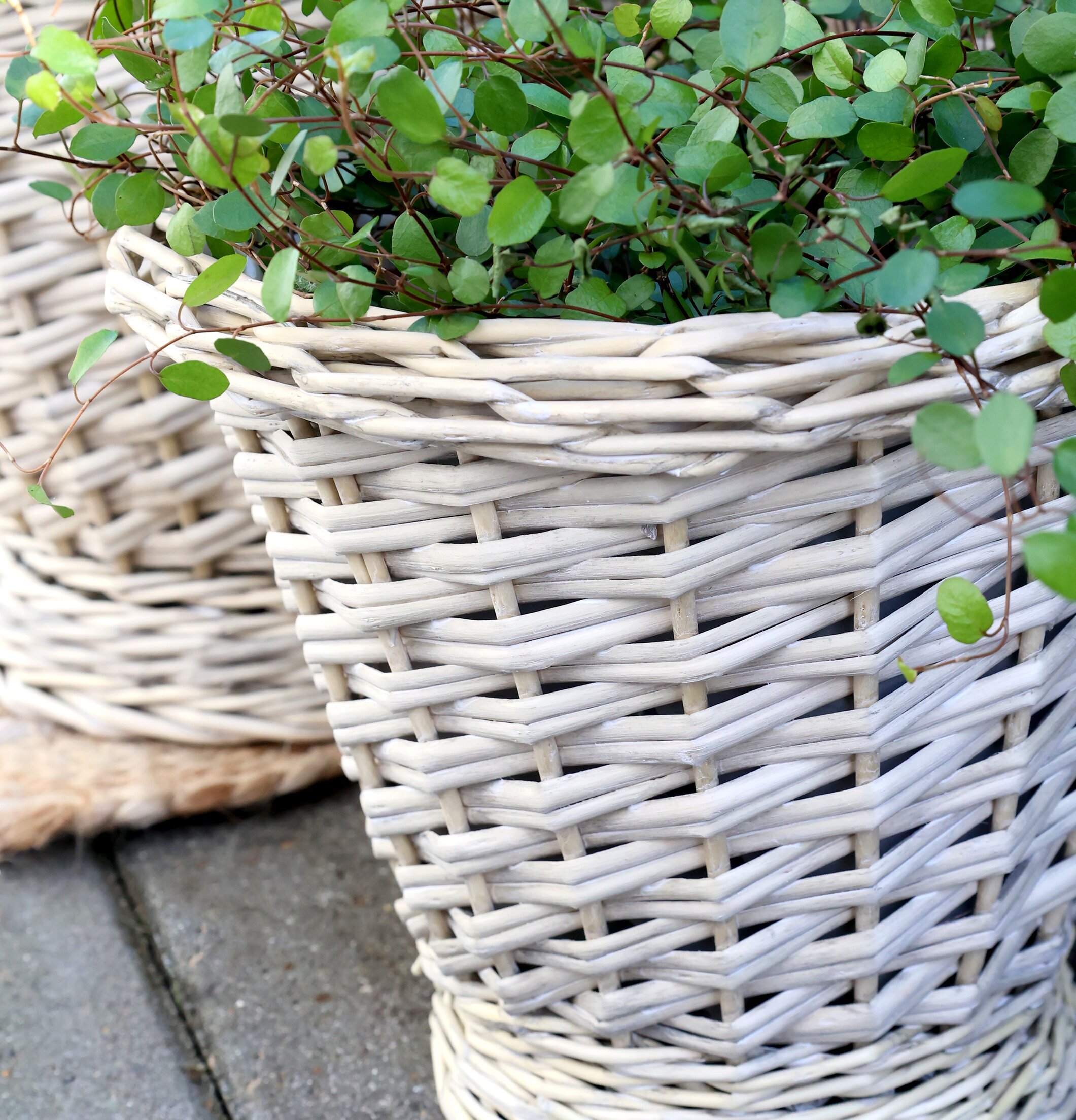 Flätad Pilkruka Chic Antique