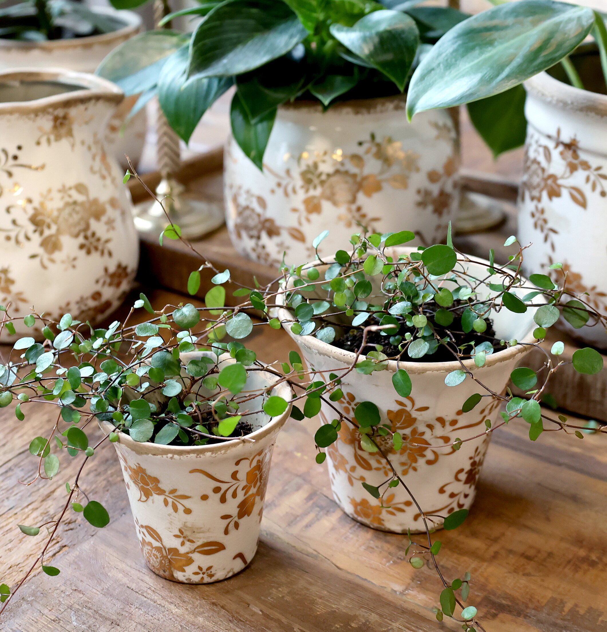 Bild av stilfulla krukor med intrikata blommönster