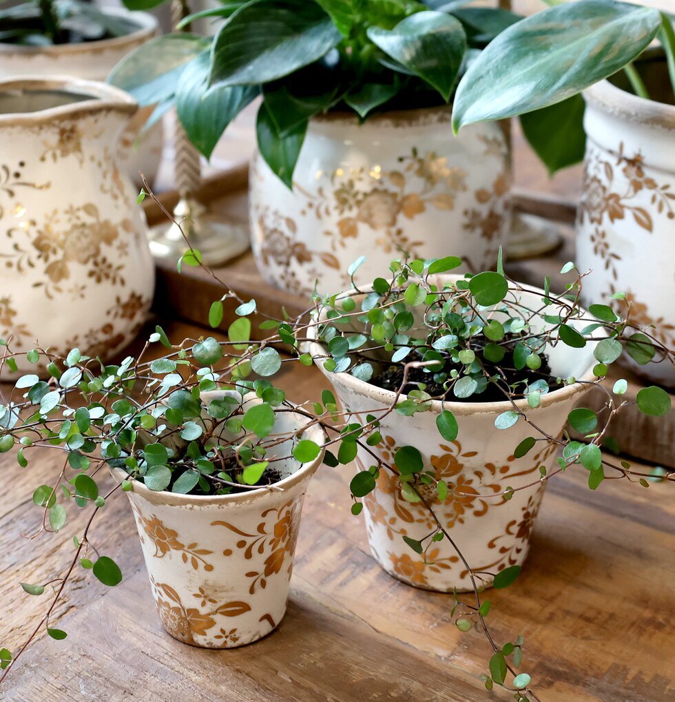 Kruka Melun Jubileum Limited Edition Ø12.5cm Ø9cm Chic Antique Krukor Örtkrukor Glaskrukor