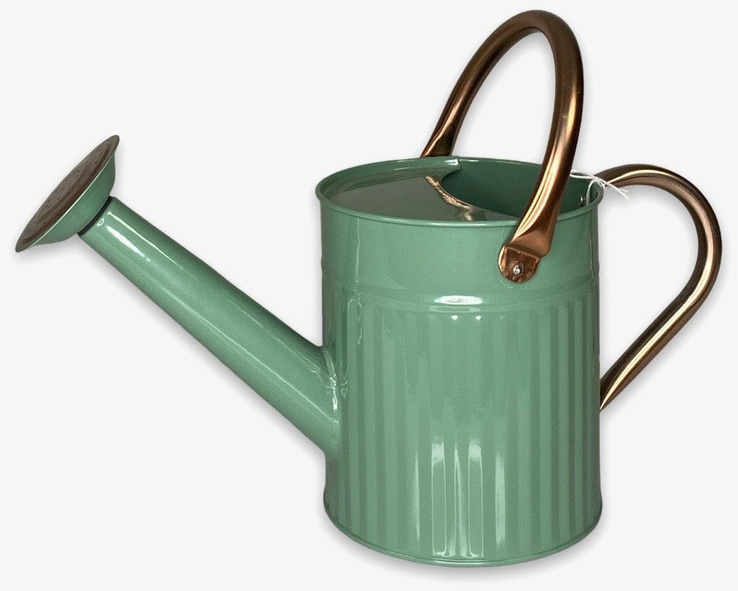 Bild av stilfull salvgrön vattenkanna med kopparhandtag