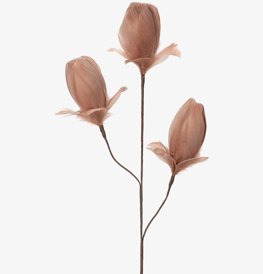 Kvist Fjäderknopp Mullvad A Lot Decoration Övrig prydnad/dekoration för inredning innemiljö