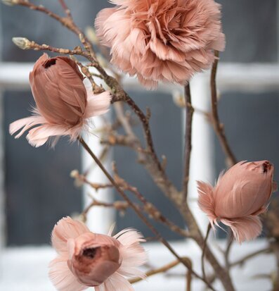 Bild av dekorativ kvist med fjäderklädda knoppar