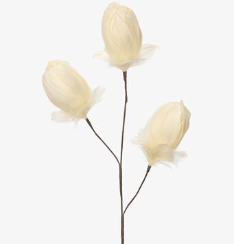 Bild av dekorativ kvist med fjäderliknande knoppar